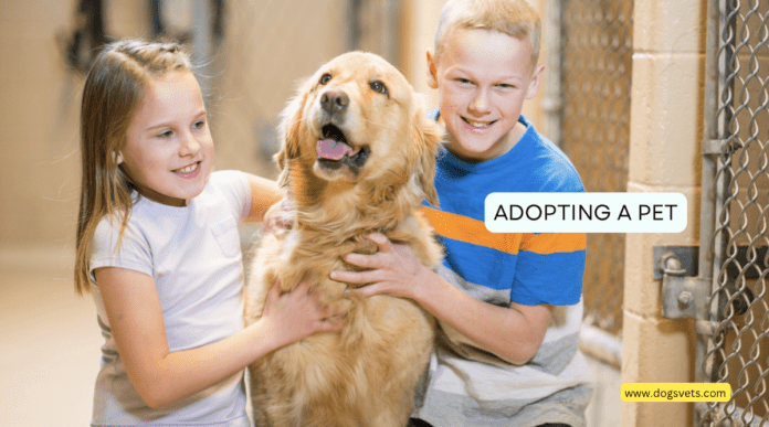 10 Things to Consider Before Adopting a Pet